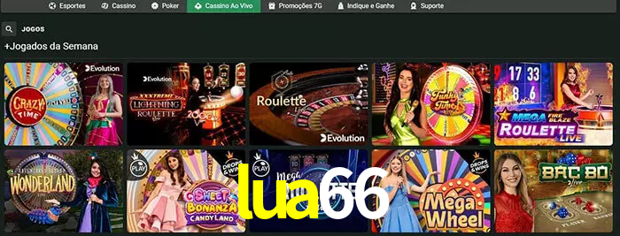 lua66 bet